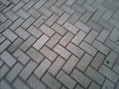 P09-11-11_16.07[1]