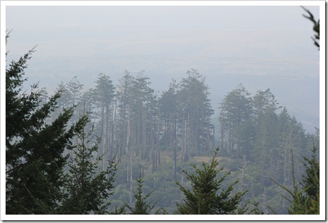 IMG_1751 IMG_1751