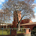 Granja Palau