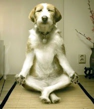 [yoga-dog%255B2%255D.jpg]