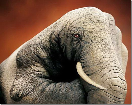 guido-daniele5%5B2%5D guido-daniele5%5B2%5D