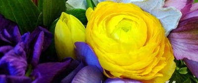 purple and yellow wedding flowers | Ideas in Bloom purple and yellow wedding flowers | Ideas in Bloom