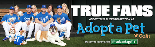 Billboards like these help to educate others on the treasures that await your love in shelters everywhere.
Humans L to R: Mitch and Karrie Maier, Jeff and Catie Francoeur, Luke and Ashley Hochevar, Alex and Jamie Gordon.
Canines: George and Diesel Maier, Bruiser, Brodie and Bella Francoeur, Gracie Hochevar, Ruby and Lucy Gordon Billboards like these help to educate others on the treasures that await your love in shelters everywhere.
Humans L to R: Mitch and Karrie Maier, Jeff and Catie Francoeur, Luke and Ashley Hochevar, Alex and Jamie Gordon.
Canines: George and Diesel Maier, Bruiser, Brodie and Bella Francoeur, Gracie Hochevar, Ruby and Lucy Gordon