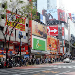 shibuya shopping street in Shibuya, Japan 