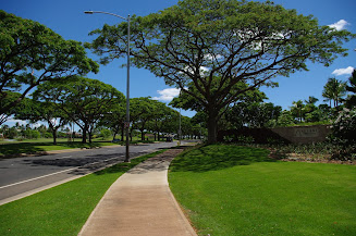 sidewalks in the gated community