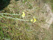 P1090864.JPG