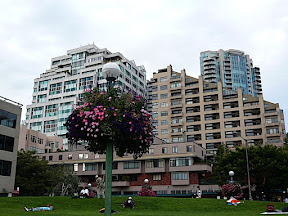 P1020547.JPG