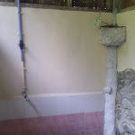 IMAG0174.jpg