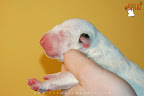 Boy 5 - day 1