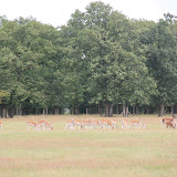 IMG_2783.JPG