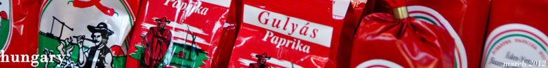 Banner Banner