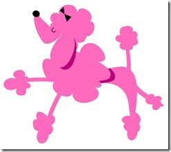 poodle