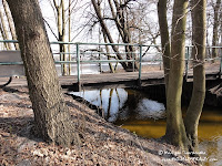 dsc07230.jpg