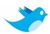 twitter-official-bird