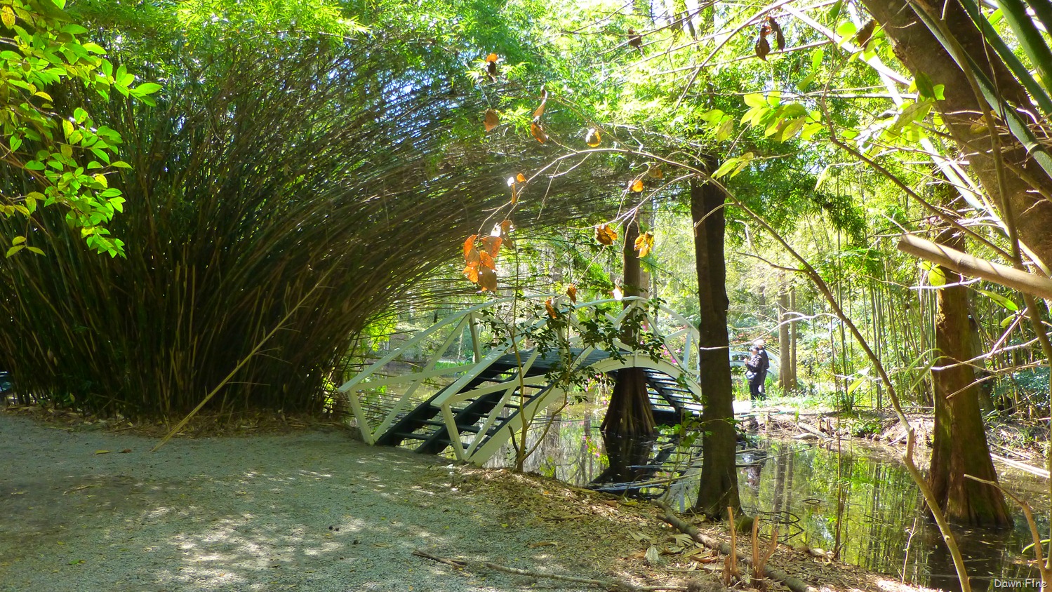 [Magnolia%2520Plantation_177%255B4%255D.jpg]