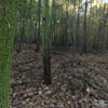 dsc03903.jpg