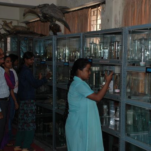 Zoology Museum.jpg