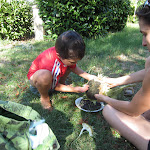 IMG_0160.JPG IMG_0160.JPG