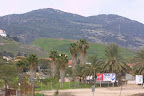 p1295964877(21).jpg