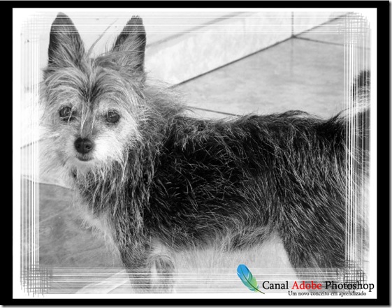 Borda criativa no Photoshop 0007 Borda criativa no Photoshop 0007