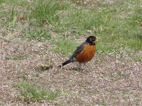 DSC02953.JPG