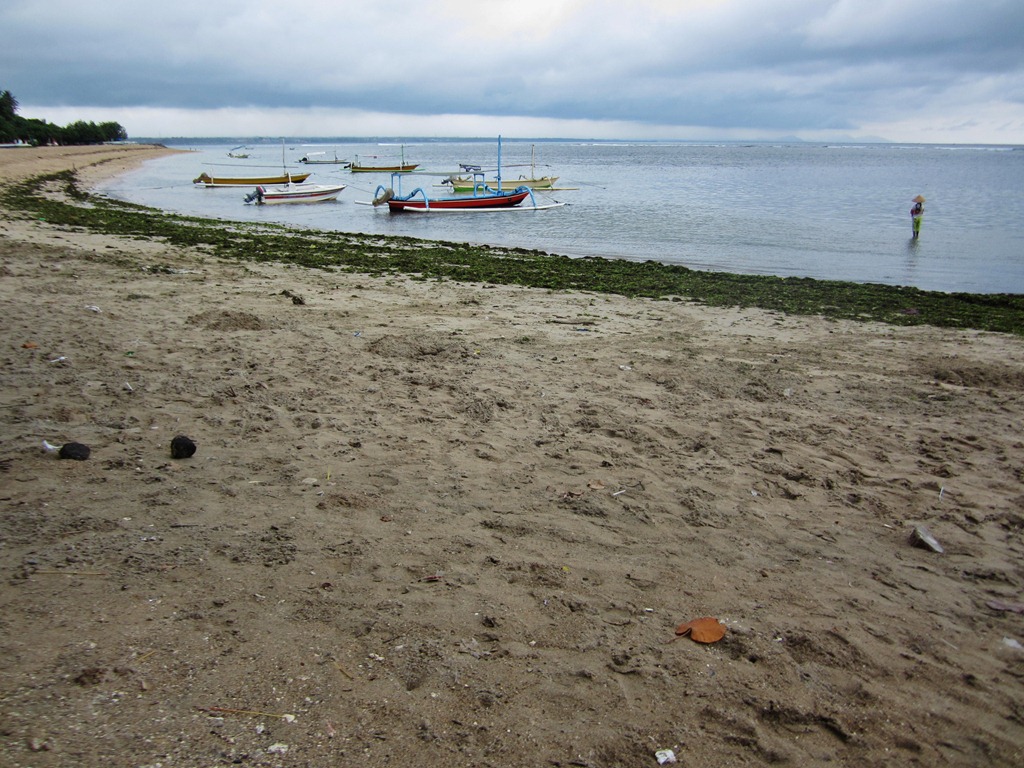 [IMG_1381%255B4%255D.jpg]