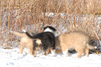 _DSC0048.JPG