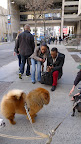 Oh, I'm terribly sorry - am I in the way of your site-seeing?  I don't want to ruin your photo!