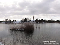dsc05857.jpg dsc05857.jpg