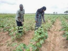 [jiendeleze%255B3%255D.jpg]