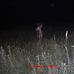 ICAM0164.JPG