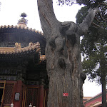 Китай 321.jpg