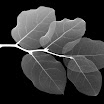 img2.jpg