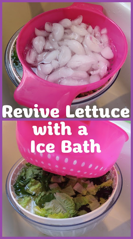 Revive-Lettuce-with-a-ice-bath