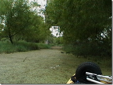 IMGA0372 IMGA0372