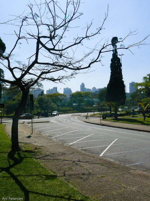 Fotos de Ibirapuera. Foto numero 8735830331080873279.