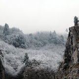 DSC_6700.JPG
