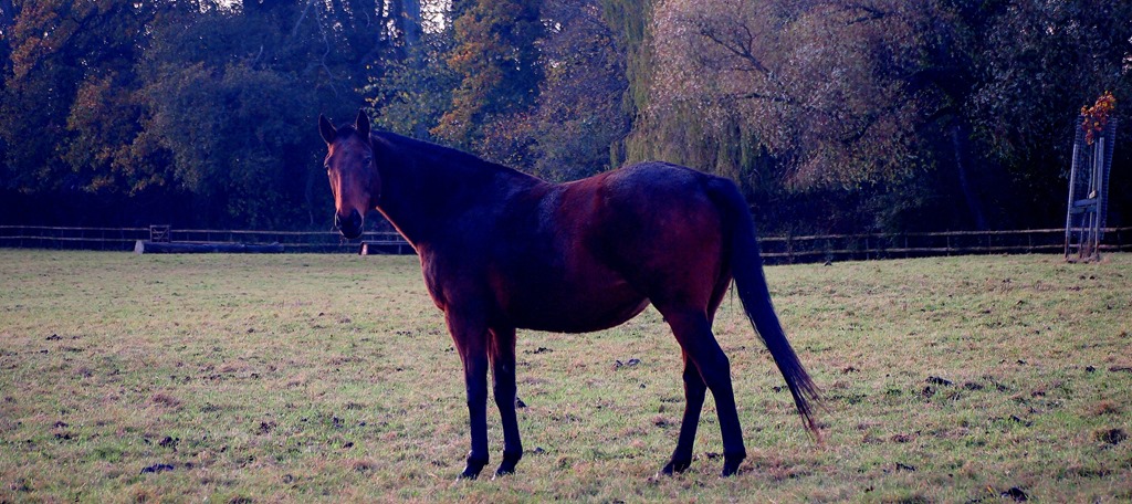 [10%2520Nov%252018%255B3%255D.jpg]