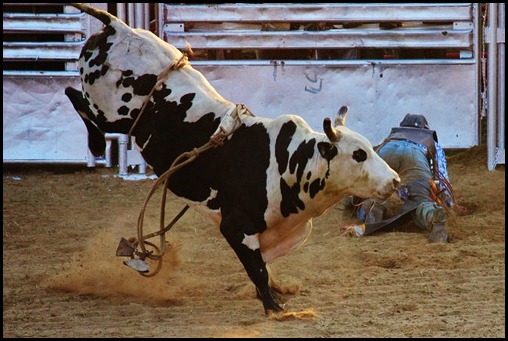 PBR 143