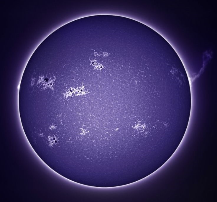 [Sol%2520roxo%255B7%255D.jpg]