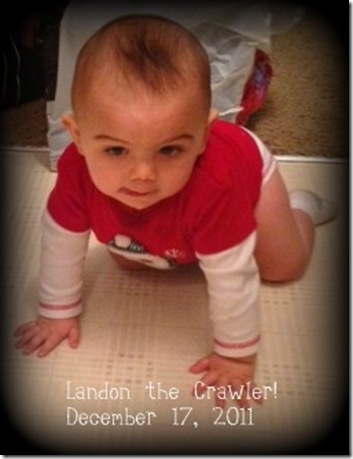 landon the crawler