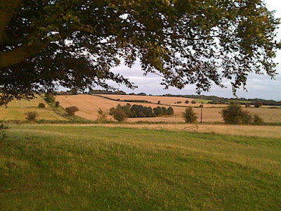 The View again...