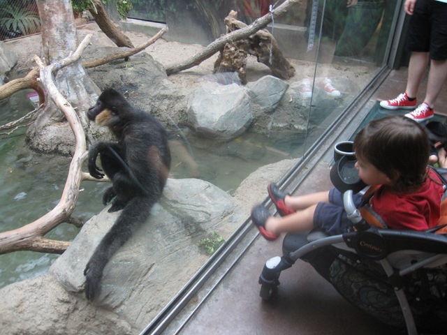 [IMG_8373%255B2%255D.jpg]