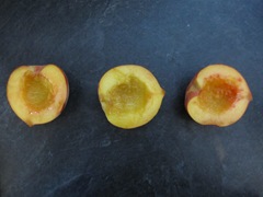 [IMG_4891%255B1%255D.jpg]