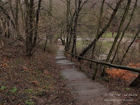 widok z góry