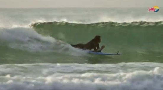 Barney Miller surfista 05