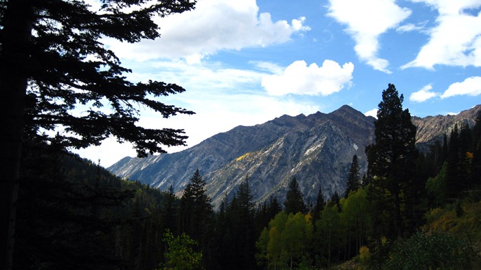 a mountaintop and trees in Little Cottonwood Canyon Utah