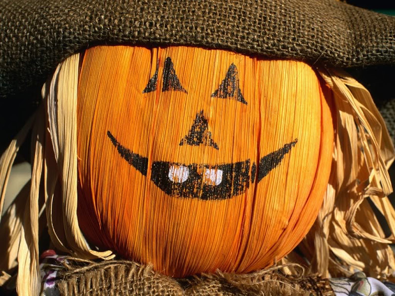 Funny Halloween Pumpkin, Halloween