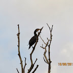 IMG_8170.JPG