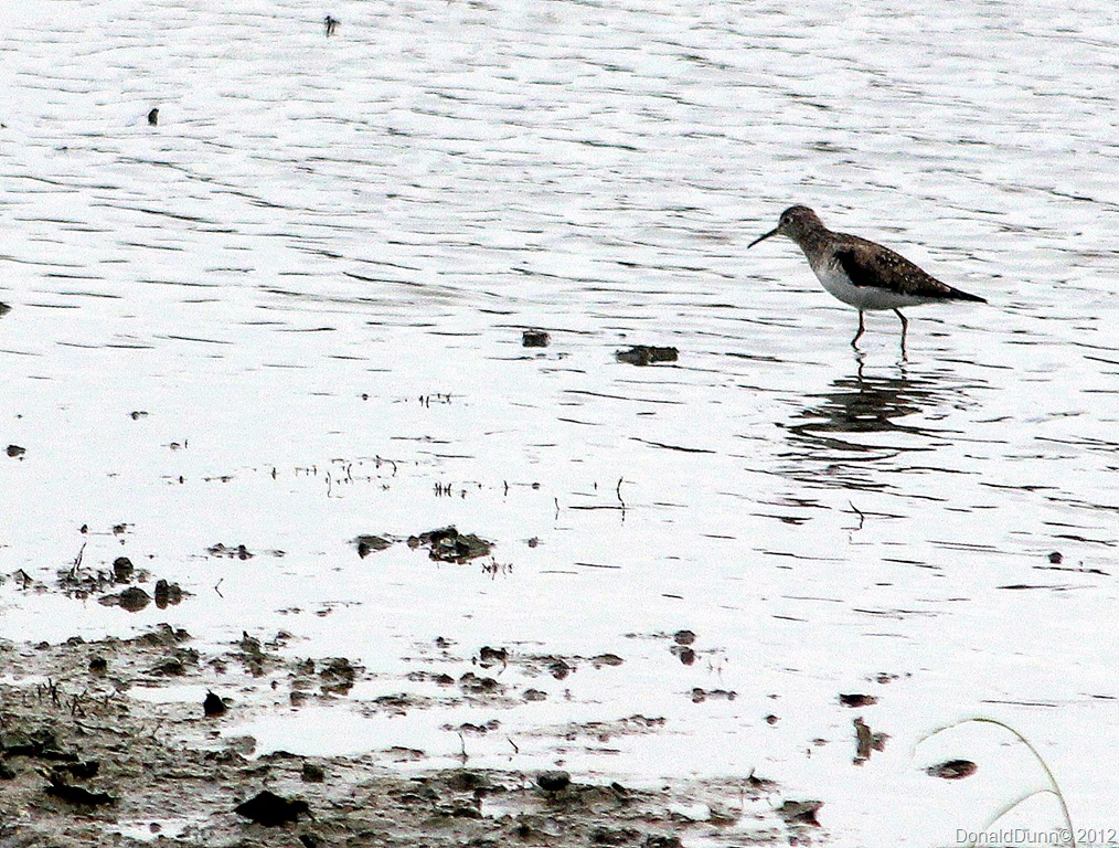 [IMG_2338B%255B1%255D.jpg]